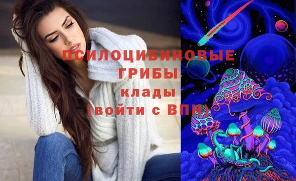а пвп мука Алзамай