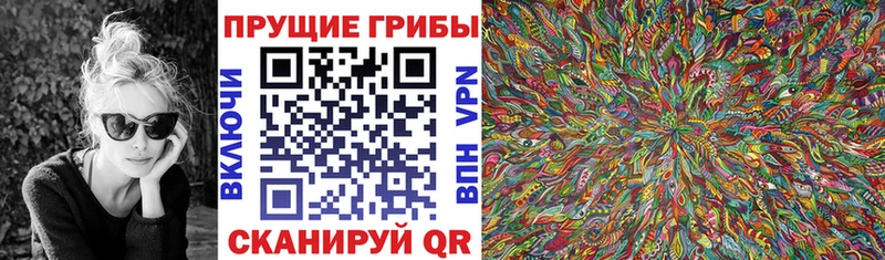 Псилоцибиновые грибы Psilocybine cubensis  купить закладку  Красноярск 